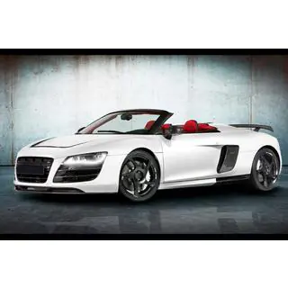 Комплект обвеса MNSR Carbon (для Spyder) фото 3