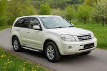 Chery Tiggo 3 2005- гг. Боковые пороги Allmond (2 шт., алюминий) фото 1