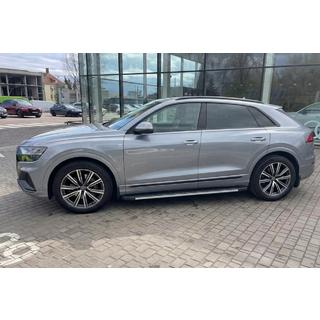 Боковые пороги Bosphorus Grey (2 шт., алюминий) Audi Q8 2018- гг. фото 1
