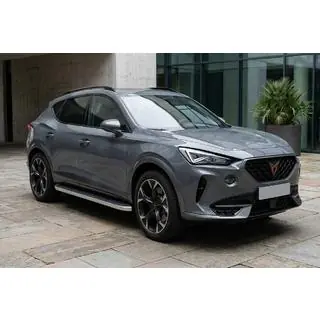 Боковые Подножки Tayga Grey (2 шт., Алюминий) фото 1