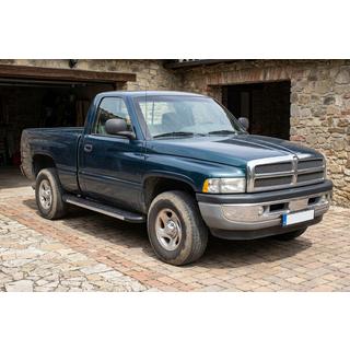 Боковые Подножки Duru (2 шт., Алюминий) Dodge RAM (BR/BE) 1994–2002 гг. фото 1