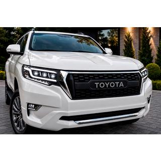 Решетка радиатора 2017↗ (OffRoad) Toyota Land Cruiser Prado 150 2009-2023 гг. фото 1