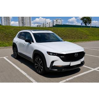 Рейлинги на крышу OEM серые (алюминий, установка на клей) фото 2