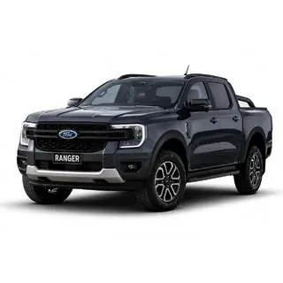 Чёрные рейлинги OEM (ABS-пластик, установка на клей) фото 1