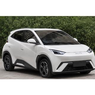 Рейлинги серые OEM (ABS-пластик, установка на клей) BYD Dolphin 2025– гг.