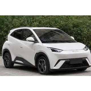 Рейлинги серые OEM (ABS-пластик, установка на клей) BYD Dolphin 2025– гг.