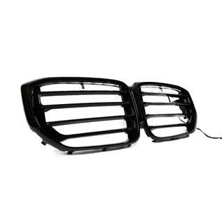 Ноздри X5M F95 Design LED (2023+) BMW X5 G05 2019–2026 гг. фото 3