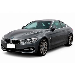 Передняя лип-накладка DPT (для Base, черный глянец) BMW 4 серия F32/F33/F36 2012-2020 гг. фото 1