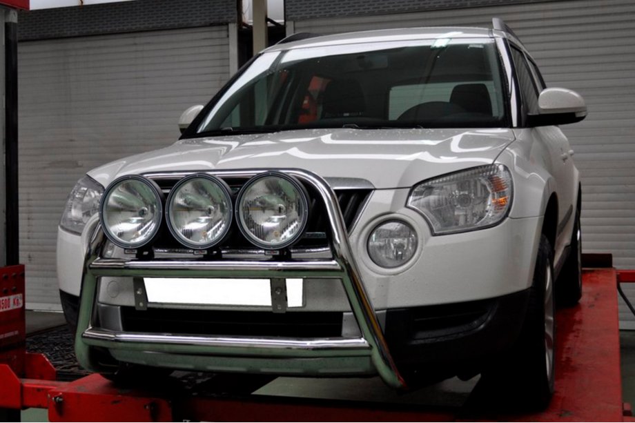 Skoda Yeti 2009-2017 гг. Кенгурятник WT018 (нержавейка) Фото 3
