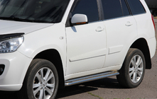 Chery Tiggo 1 2005-2016 гг. Боковые Подножки Premium (2 шт., Нержавейка) фото 1