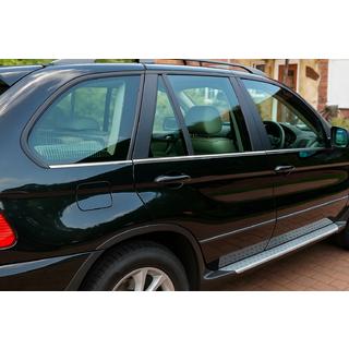Нижние молдинги из нержавеющей стали (6 шт.) BMW X5 E53 1999-2006 гг. фото 1