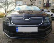 Skoda Octavia III A7 2013-2019 гг. Зимняя накладка на решетку радиатора (2013-2017) фото 1
