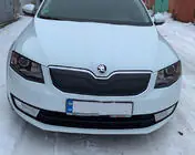 Skoda Octavia III A7 2013-2019 гг. Зимняя накладка на решетку радиатора (2013-2017) фото 2