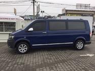 Volkswagen T5 Transporter 2003-2010 гг. Молдинги на двери Нержавейка Хром фото 7