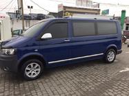 Volkswagen T5 Caravelle 2004-2010 гг. Молдинги на двери Нержавейка Хром фото 4