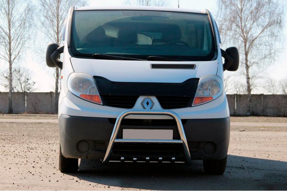 Renault Trafic 2001–2015 гг. Кенгурятник QT-Spec (нержавейка) Image