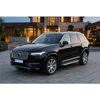 Боковые пороги Allmond Grey (2 шт., алюминий)