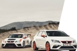 Seat собирается производить «заряженные» электрокары фото 1