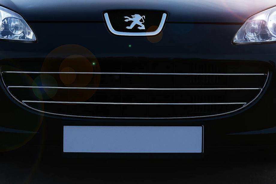 Peugeot 407 2004-2011 гг. Хром Накладки на Решетку (3 шт, Нержавейка) Image