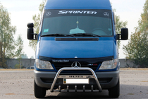 Mercedes Sprinter W901/902/903/904/905 1995–2006 гг. Кенгурятник WT004 (нержавейка) фото 1