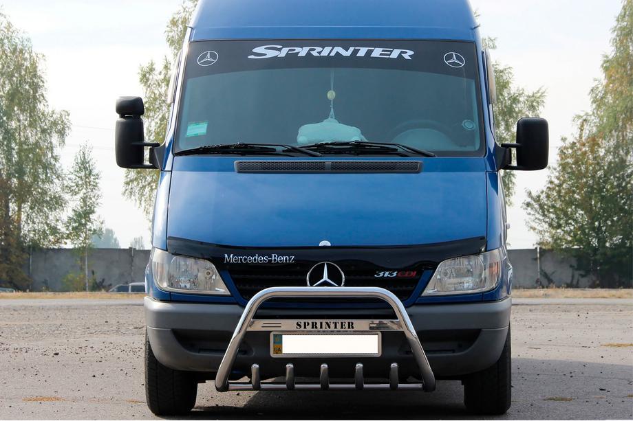 Mercedes Sprinter W901/902/903/904/905 1995–2006 гг. Кенгурятник WT004 (нержавейка) Image