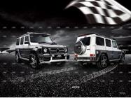 Mercedes G сlass W463 1990-2018 гг. Комплект обвеса (под заказ по каталогу) фото 3