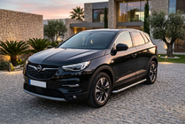 Opel Grandland X 2017- гг. Боковые Подножки Maydos V1 (2 шт., Алюминий и Нержавейка) фото 1