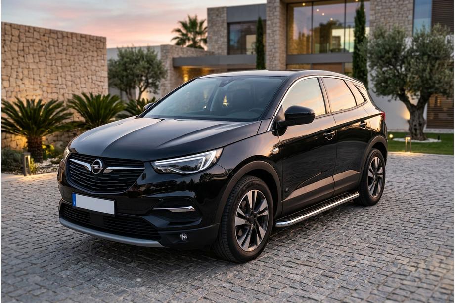 Opel Grandland X 2017- гг. Боковые Подножки Maydos V1 (2 шт., Алюминий и Нержавейка) Image