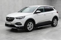 Opel Grandland X 2017- гг. Боковые Подножки Maya V1 (2 шт., Алюминий) фото 1