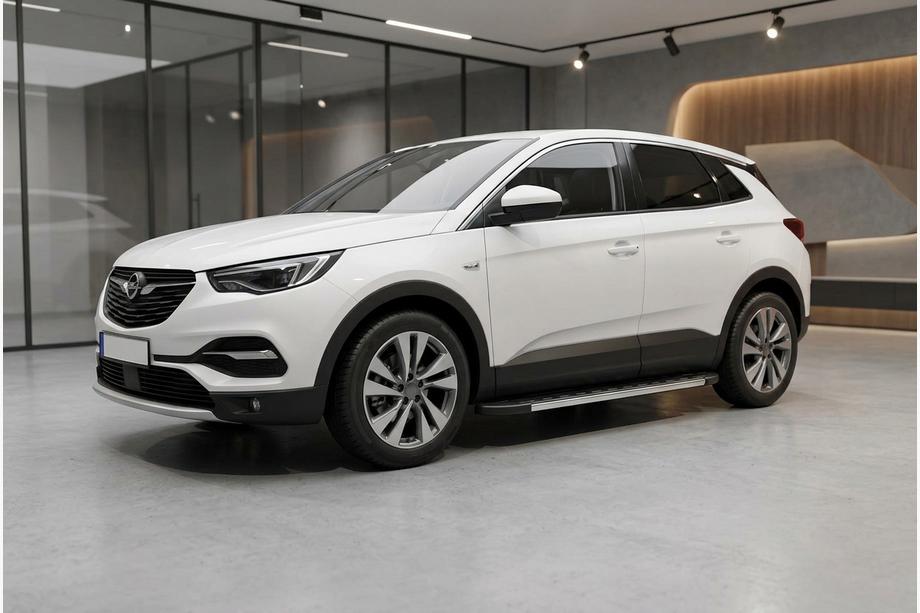 Opel Grandland X 2017- гг. Боковые Подножки Duru (2 шт., Алюминий) Image