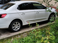 Peugeot 301 2012- гг. Окантовка окон Нержавейка фото 1
