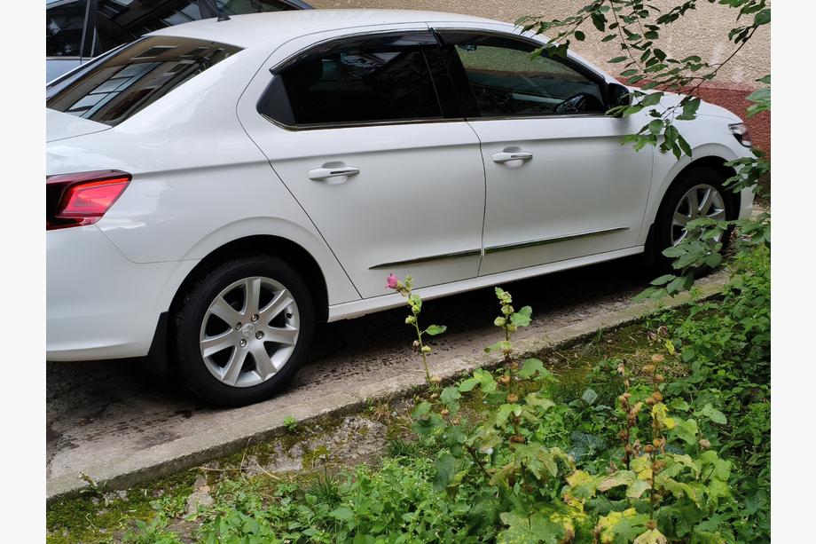 Peugeot 301 2012- гг. Окантовка окон Нержавейка Image