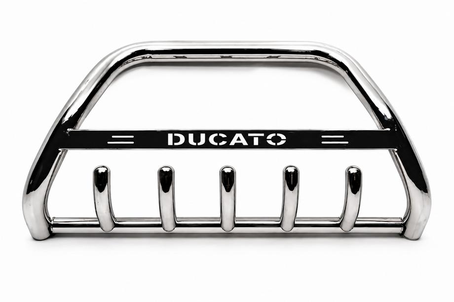 Fiat Ducato 1995-2006 гг. Кенгурятник WT004 Нержавейка Image