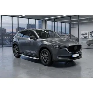 Боковые Подножки Tayga V2 (2 шт., Алюминий) фото 1