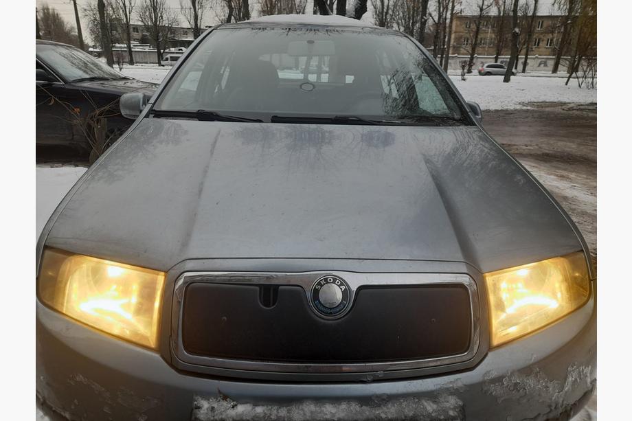 Skoda Fabia 2000-2007 гг. Зимняя накладка на решетку радиатора Image