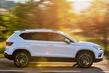 Обзор кроссовера Seat Ateca (второй) фото 13