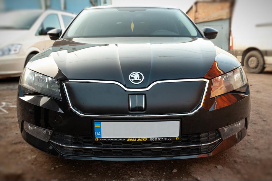 Skoda Superb 2015-2024 гг. Зимняя накладка на решётку радиатора (2015-2019, верхняя) Фото 2