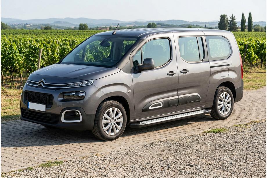 Citroen Berlingo/Multispace 2018- гг. Боковые пороги Allmond Grey (2 шт., алюминий) Фото 1