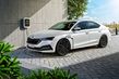 Обзор Skoda Octavia 2020 модельного года фото 4
