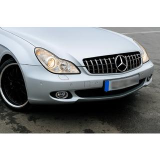 Передняя Решетка Радиатора (2008-2010, GT Panamericana) Mercedes CLS C219 2004-2010 гг. фото 1