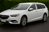 Opel Insignia 2017-2022 гг. Накладки на дверные стойки из нержавеющей стали фото 1