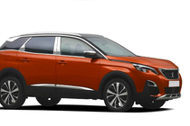 Peugeot 3008 2016-2023 гг. Накладки на дверные стойки из нержавеющей стали фото 4