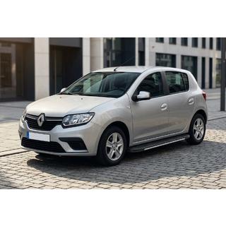 Боковые пороги Bosphorus Grey (2 шт., алюминий) Renault Sandero 2013-2022 гг. фото 1