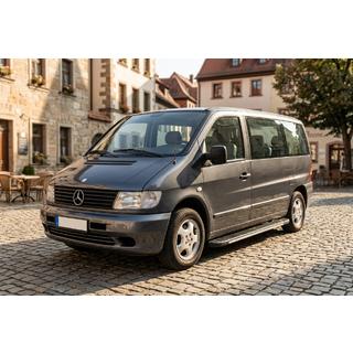 Боковые пороги Bosphorus Grey (2 шт., алюминий) Mercedes Vito W638 1996-2003 гг. фото 1