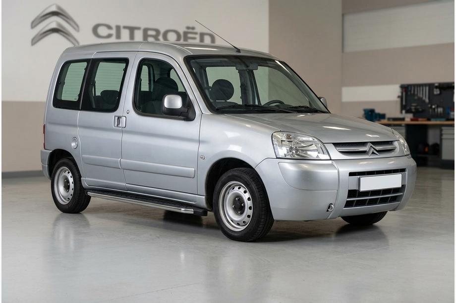 Citroen Berlingo 1996-2008 гг. Боковые Подножки BlackLine (2 шт., Алюминий) Image
