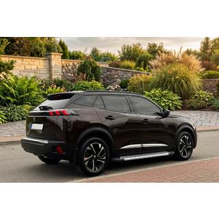 Боковые Подножки New Vision Grey (2 шт., Алюминий) Peugeot 3008 2016-2023 гг. фото 1