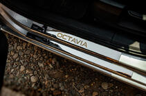 Skoda Octavia III A7 2013-2019 гг. Накладки на пороги Carmos V1 (8 шт., нержавейка) фото 1