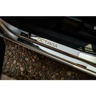 Накладки на пороги Carmos V1 (8 шт., нержавейка)