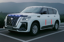 Nissan Patrol Y62 2010-2024 гг. Дверные молдинги (4 шт, черные) фото 3