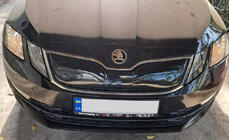 Skoda Octavia III A7 2013-2019 гг. Зимняя решетка (2017-2020) фото 7